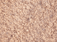 Brown-Rock-Salt.gif Brown-Rock-Salt.gif